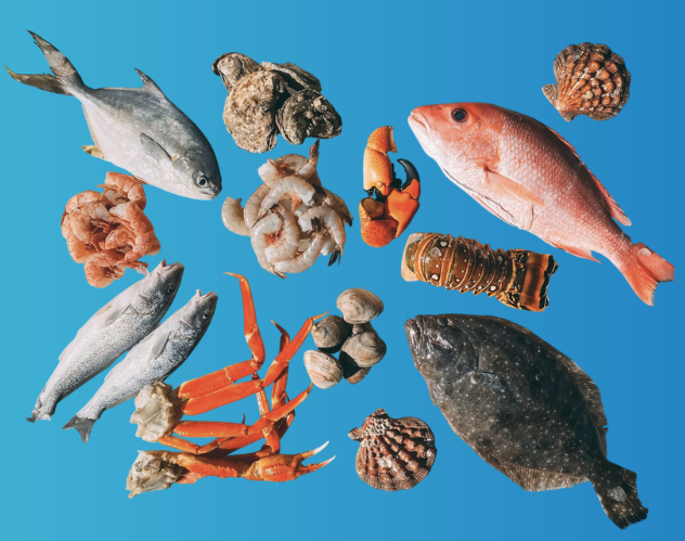 Seafood and shellfish
