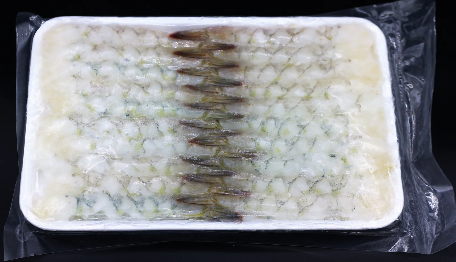 Nobashi ebi 16/20 - tray