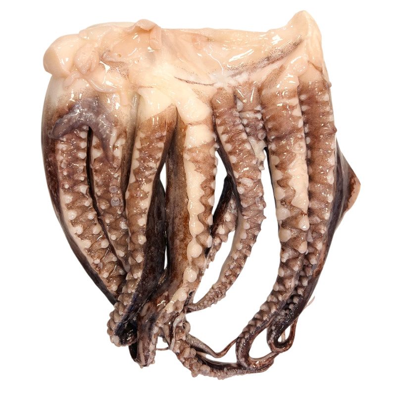Tentacles