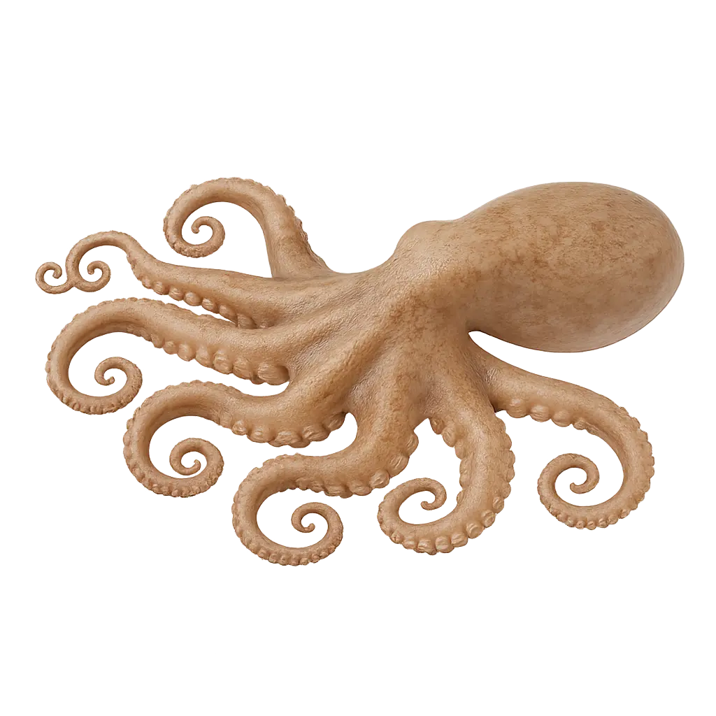 Fresh octopus