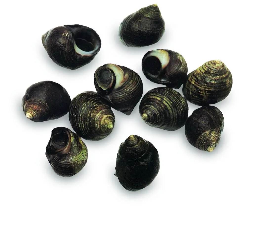 krukel (1kg)