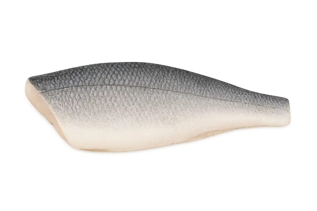 Verse zeebaarsfilet 8/1 brut