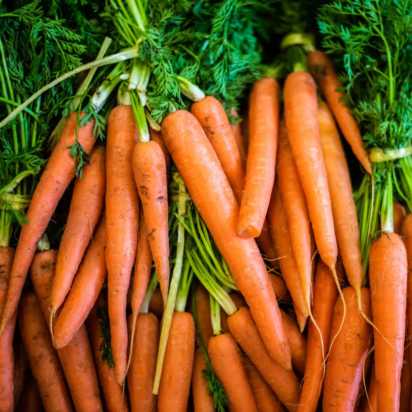 Carrot bag - big (10kg)