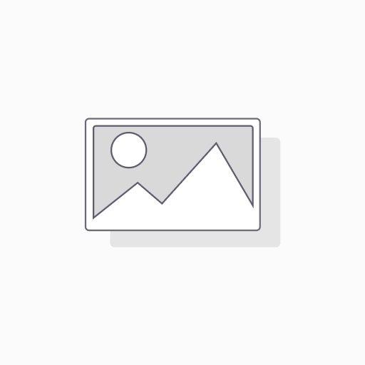 Wism. Gyoza kip & veg - doos (10x600g)