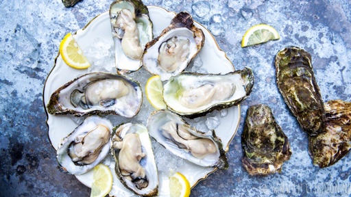 Oyster - zeeland flat 3/0