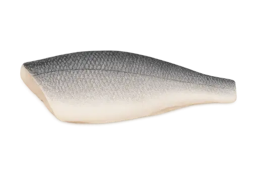 [Dicentrarchus labrax filet 4/6] Fresh sea ​​bass