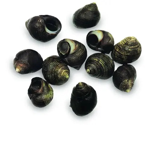 krukel (1kg)